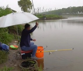 亿万28官网h5-老祖宗传的24字钓鱼谚语，吃透了，春夏秋冬钓啥鱼都不白跑|太阳|钓鱼技巧|水温|雨后|深水区_新浪体育_新浪新闻